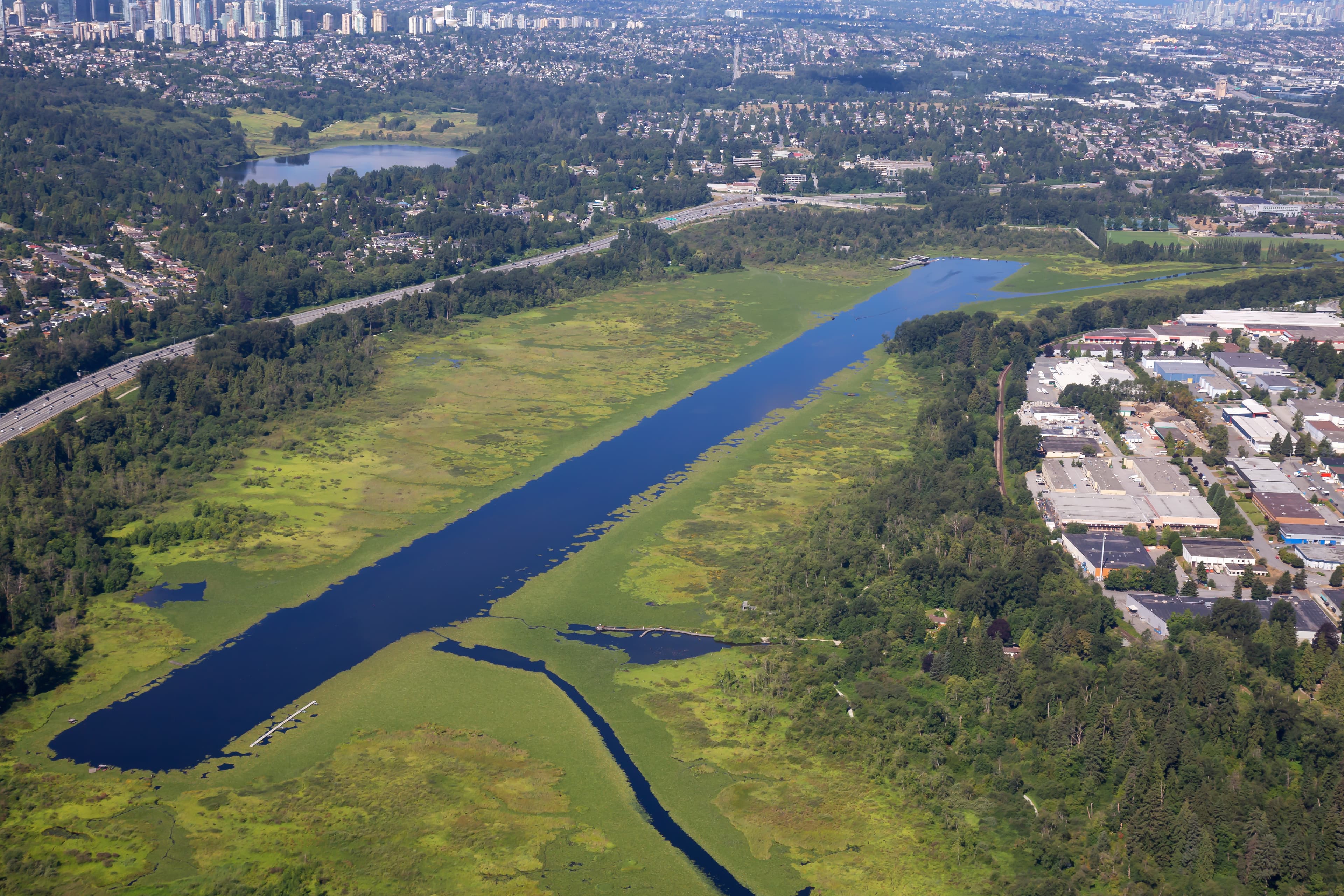 When capital designs stability, the world stops oscillating between confidence and shock.